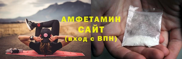 твердый Бородино