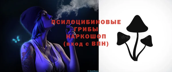 твердый Бородино