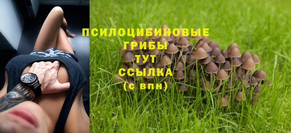 твердый Бородино