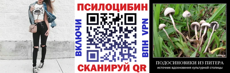 Псилоцибиновые грибы MAGIC MUSHROOMS  Тулун 